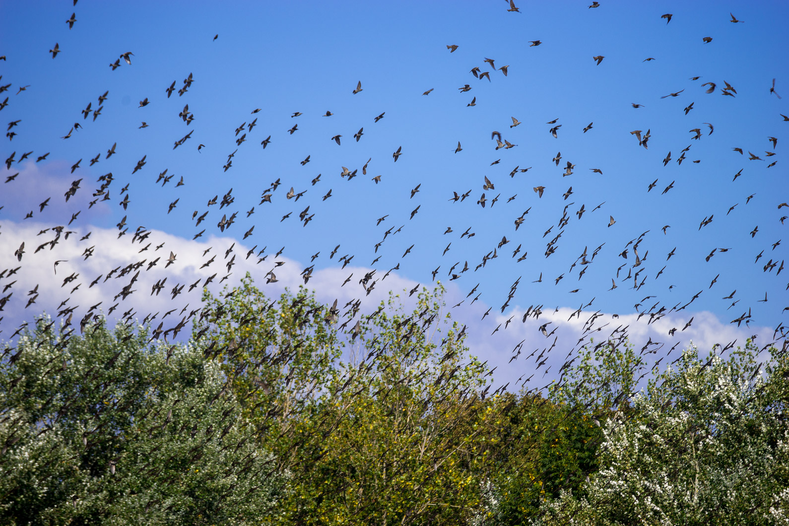 20160921 130857 Kap Arkona   Putgarten